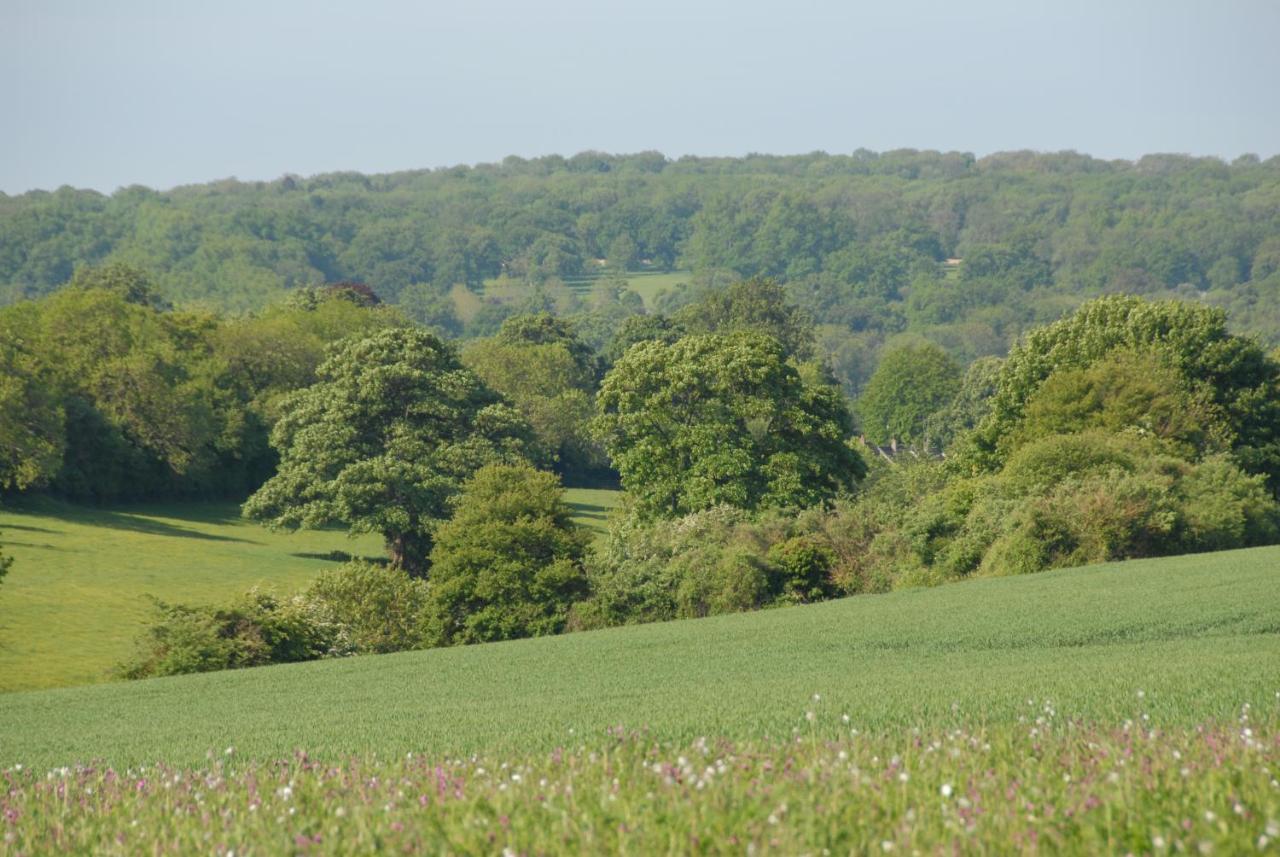 찰버리 Banbury Hill Farm B&B 외부 사진